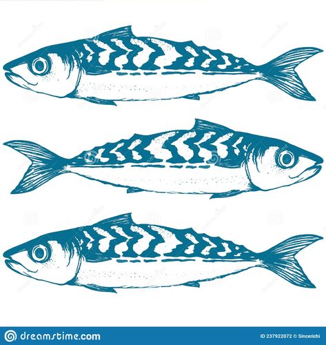 Classic Drawing Mackerel Fish Food Stock Vector - Illustration of recipe, bluemackerelfish: 237922072 Classic Drawing, Side Profile Drawing, Vintage Fireworks, Fish Sketch, Mackerel Fish, Profile Drawing, Food Stock, Fish Vector, Fish Illustration