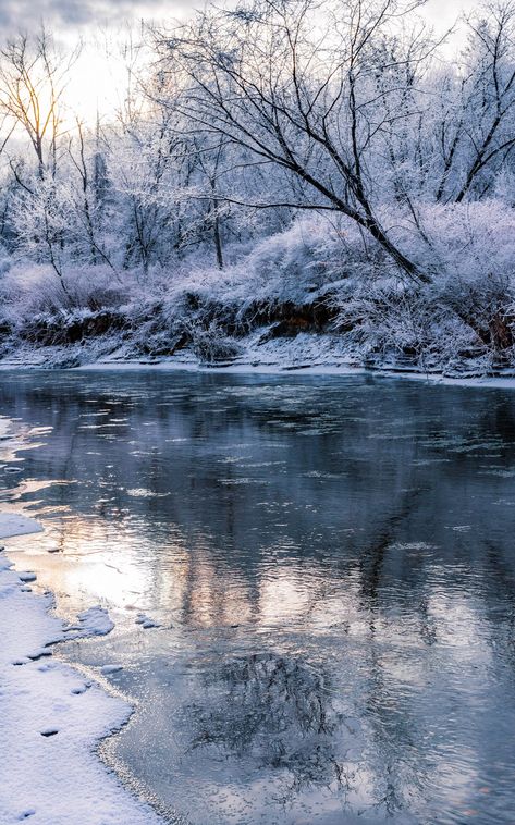 Frozen River Aesthetic, Snow Color Palette, Ice Reference, Cold Winter Aesthetic, Cold Landscape, Ice Forest, Cold Aesthetic, River Aesthetic, Ice Aesthetic