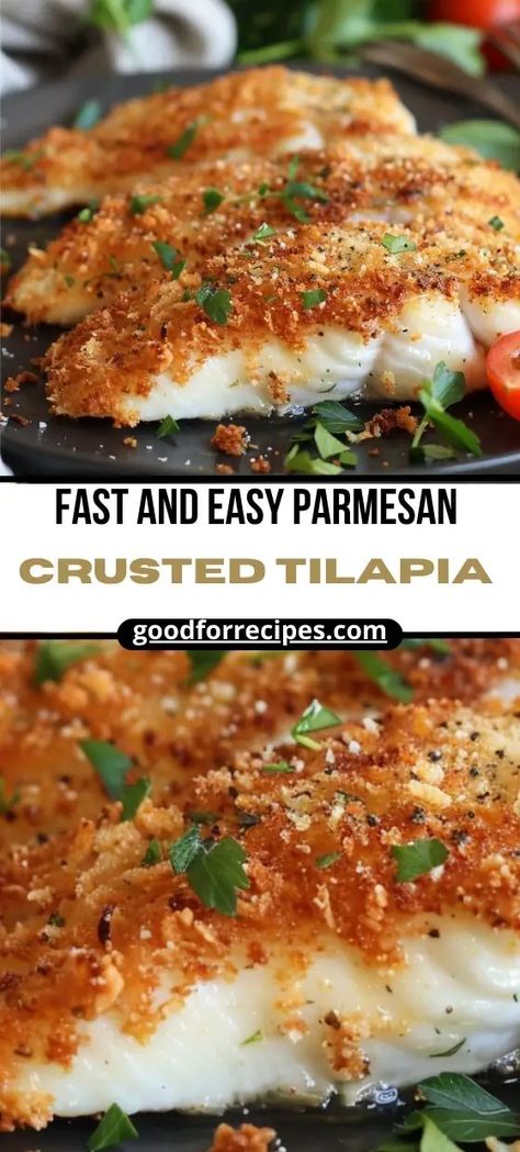 Fast and Easy Parmesan Crusted Tilapia Recipe Tilapia Fillet Recipe, Best Tilapia Recipe, Baked Tilapia Fillets, Best Chicken Spaghetti Recipe, Parmesan Crusted Fish, Tilapia Dinner, Tilapia Recipes Healthy, Tilapia Recipes Easy, Baked Tilapia Recipes