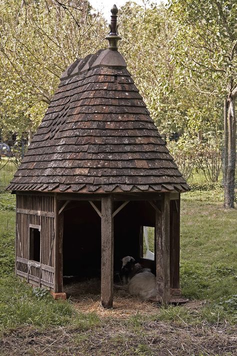 Dog Pen Outdoor, Sheep House, Goat Shed, Goat Shelter, Goat House, Dog Pen, Mini Farm, Garden Animals, Goat Farming