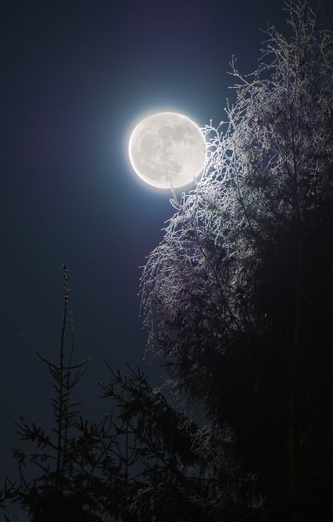 Full Snow Moon, Moon Beauty, Moon Madness, Snow Moon, Cold Moon, Winter Moon, Sun Clouds, Shoot The Moon, Moon Photos