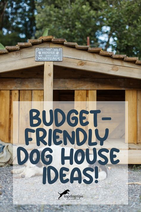 Budget-Friendly Dog House Ideas! Ideas For Dog Houses Outside, Dog House For 2 Large Dogs, Dog House Attached To House, Shed Turned Dog House, Multiple Dog House Ideas Outdoor, Simple Dog House Diy Outdoor, Easy Dog House Plans, How To Make A Dog House, How To Build A Dog House Step By Step