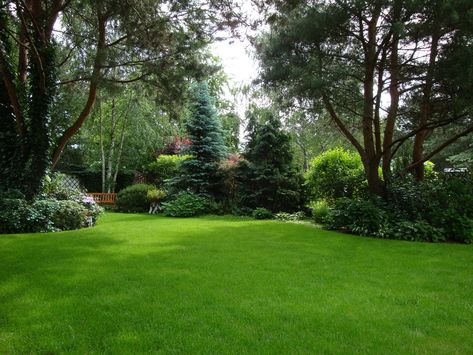 Golf Course Landscaping, Acreage Landscaping, Large Backyard Landscaping, Patio Grande, Evergreen Garden, Lawn And Landscape, Large Backyard, Home Landscaping, Woodland Garden