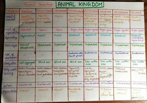 Kingdom Protista Notes Class 11, Animal Kingdom Short Notes, Biology Short Notes For Neet, Animal Kingdom Notes Neet, Neet Biology Flashcards, Animal Kingdom Notes, Neet Inspiration, Biology Tricks, Biology Flashcards