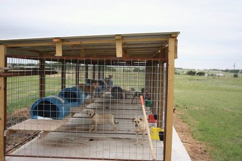 panels welded to metal frame, then attached/connected with wooden posts (notice RUST!), but dogs have limited access to the wood post Hunting Dog Kennel Ideas, K9 Kennels, Kennel Ideas Outdoor, Metal Dog Kennel, Dog Boarding Kennels, Dog Kennel Designs, Kennel Ideas, Dog Pens, Diy Dog Kennel