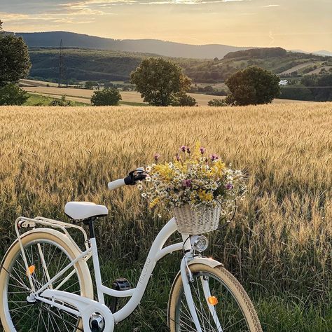 Spring Retro Aesthetic, Vintage Bicycles Aesthetic, Sidney Aesthetic, Vintage Bike Aesthetic, Bikes Aesthetic, Bike With Flowers, Pretty Bicycle, Biking Aesthetic, Bicycle Aesthetic