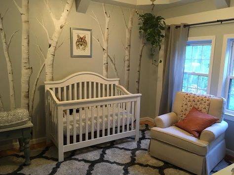 Birch tree and fox nursery Aspen Tree Nursery, Birch Tree Mural Nursery, Woodland Trees Nursery, Tree Nursery Theme, Birch Nursery, Birch Tree Nursery, Fox Themed Nursery, Tree Mural Nursery, Woodsy Nursery