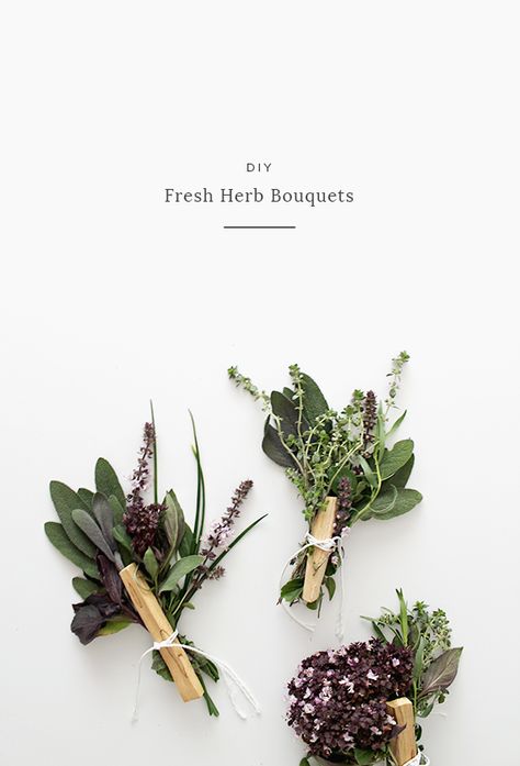 Herb recipes