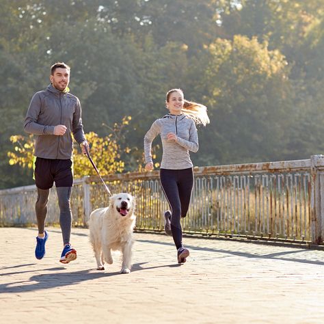 Be fit and healthy so you can enjoy life #wellnesswednesday #maximfit Jogging Benefits, Best Pets For Kids, Pets For Kids, Laoag, Cat Illnesses, Behavior Tips, Running Partner, Dog Running, Dog Run