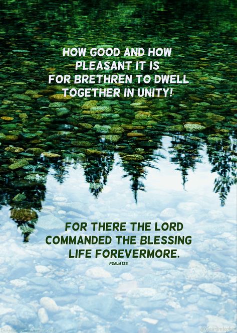 Psalm 133, God's Promises, Full Life, Awesome God, Morning Blessings, Bible Prayers, Gods Promises, Heavenly Father, Bible Scriptures