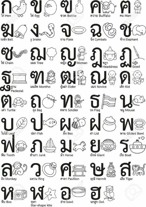 Thai Font, Thailand Language, Thai Alphabet, Learn Thai Language, Thai Words, Alphabet Chart, Learn Thai, Thai Language, Writing Systems