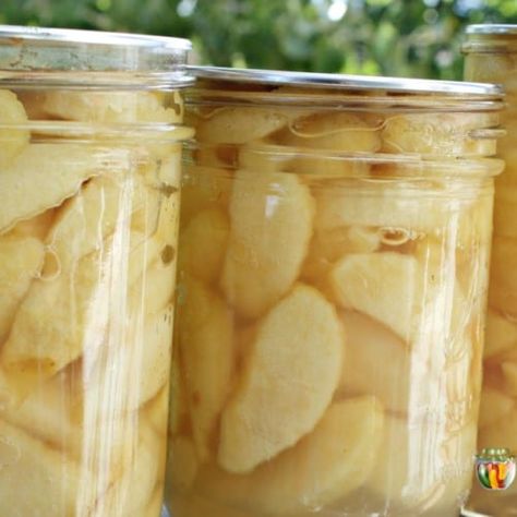 Picked lots of apples? Try canning apples in slices - an easy canning project to preserve your apples into the winter. Get instructions at #SimplyCanning. #canningapples Apple Recipes For Canning, Can Apples, Canning Apple Pie Filling, High Acid Foods, Canning Apples, Making Apple Pie, Easy Canning, Canning Fruit, Canning Vegetables