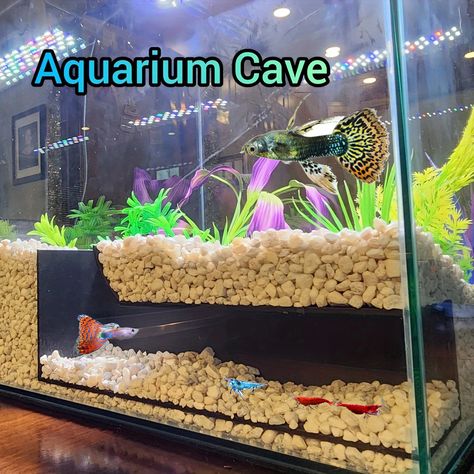 Corner Aquarium, Hidden Tunnel, Animal Homes, Animal Enclosures, Tank Terrarium, Fish Tank Themes, Fish Tank Terrarium, Fish Tank Ideas, Betta Fish Tank