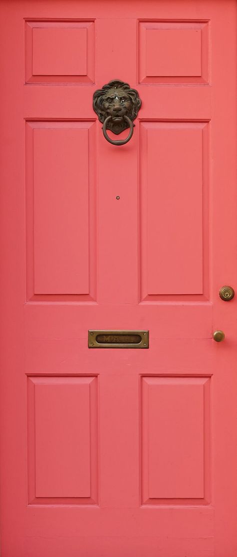 Light Blue House Pink Door, Dishy Coral Front Door, Colorful Exterior Doors, Magenta Front Door, Pink Front Doors, Front Door Paint Ideas, Door Paint Ideas, Painted Front Door Ideas, Coral Front Doors