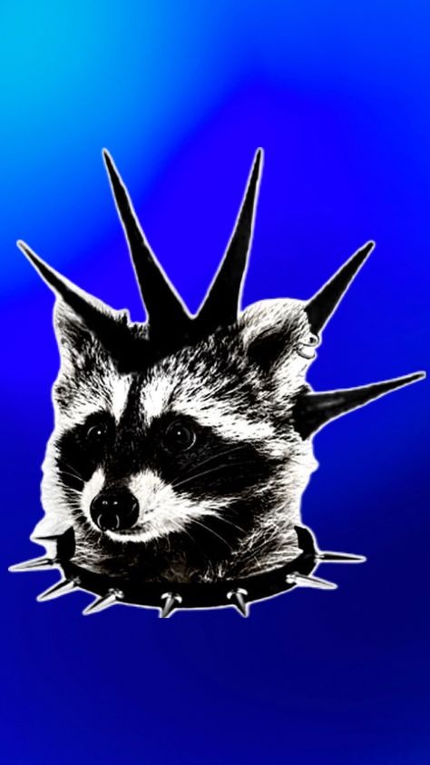 Punk Raccoon