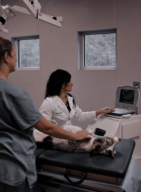 Aesthetic Vet Pictures, Veterinary Radiology, Veterinarian Career, Vet School Motivation, Vet Tech School, Veterinary Science, Vet Medicine, Nurse Aesthetic, Vet Assistant