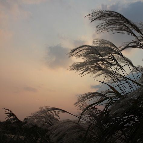 Summer Breeze Aesthetic, Breeze Aesthetic, Thailand Art, Sunset Aesthetic, Chernobyl, Pretty Sky, Sky Aesthetic, Tahiti, Go Outside