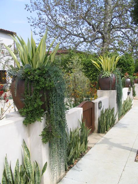 Modern Mediterranean Backyard, Mediterranean Backyard, Mediterranean Garden Design, Vertical Vegetable Gardens, Succulent Landscape Design, Spanish Garden, Succulent Landscaping, Mediterranean Landscaping, Backyard Vegetable Gardens