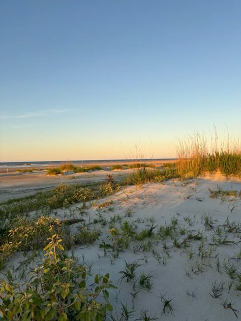 Tybee Island, Georgia, May 2024 Georgia Summer Aesthetic, Savannah Georgia Aesthetic, Savannah Aesthetic, Georgia Core, Georgia Road Trip, Cumberland Island Georgia, Georgia Aesthetic, Sea Island Georgia, Bestie Trip