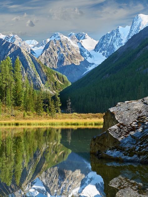 When you think of Siberia, you might picture endless snow, but it’s also home to some of the world’s most diverse ecosystems. From the sprawling taiga forests to the stunning Altai Mountains, Siberia shelters a wide range of plants and animals, many of which are found nowhere else.  Here, nature quietly flourishes, with rare species adapting to both harsh winters and lush summers. Siberian Landscape, Fantasy Moodboard, Taiga Forest, Alpine Forest, Altai Mountains, Rare Species, Lush, Nature Inspiration, You Think