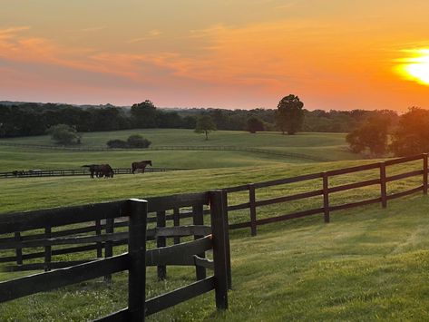 Farm Athstetic, Big Farm Aesthetic, Vintage Farm Aesthetic House, Ranch House Astethic, Farm Sunset Aesthetic, Rich Farm Aesthetic, Southern Farm Aesthetic, Country Farm Aesthetic, Old Southern Aesthetic