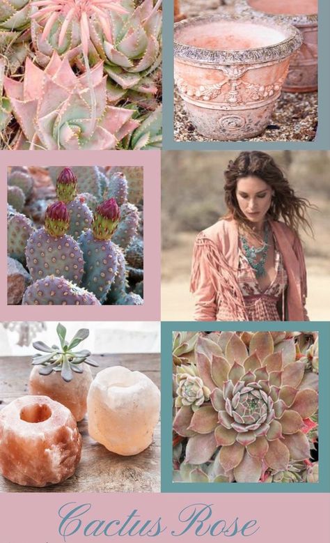 Cactus Inspired Fashion, Cactus Mood Board, Desert Rose Palette, Cactus Rose, Color Schemes Colour Palettes, Mood Colors, Color Collage, Beautiful Collage, Theme Color