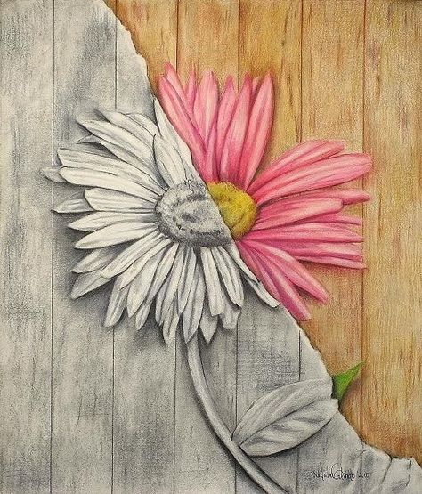 Colored Pencil Drawing, Drawing Projects, Graphite Drawings, Color Pencil Art, Color Pencil Drawing, Chiaroscuro, Teaching Art, Art Plastique, Pencil Art