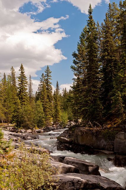 Maligne Canyon, Jasper Alberta, Mountain Lakes, Scenic Photos, Chur, Beautiful Places Nature, Beautiful Photos Of Nature, Beautiful Waterfalls, Photography Pictures