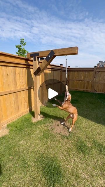 Diy Dog Spring Pole, Diy Spring Pole For Dogs, Fenced In Yard For Dogs, Diy Agility Course For Dogs, 6x6 Post Ideas, Dog Playground Backyard, Diy Dog Run, Wet Dogs, Dog Tether