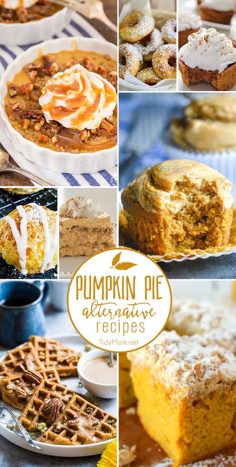 Fall is calling your name with these Pumpkin Pie Alternative Recipes! Dare I say they might even be better than pumpkin pie and you don't need to make a crust! Grab a fork and dig in at TidyMom.net via Pumpkin Pie Cupcakes Recipe, Healthy Pumpkin Pie, Healthy Pumpkin Pies, Pumpkin Spice Donut, Best Pumpkin Pie, Slow Cooker Pumpkin, Pumpkin Spice Cookies, Healthy Pumpkin, Thanksgiving Desserts