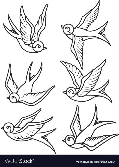 Set of swallow tattoo templates isolated on white Vector Image Swallows Drawing, Bird Flash Tattoo, Swallows Tattoo, Swallow Bird Tattoo, Bird Tattoo Design, Swallow Tattoo Design, Swallow Bird Tattoos, Bird Tattoos Arm, Art Outline