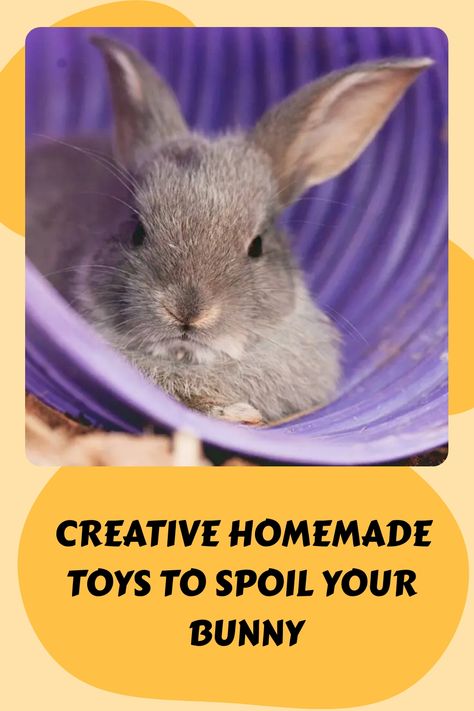 [object Object] How To Make Rabbit Toys Diy, How To Make Rabbit Toys, Rabbit Enrichment Ideas Diy, Rabbit Boredom Breakers, Rabbit Obstacle Course Diy, Rabbit Toys And Boredom Busters, Homemade Bunny Toys, Bunny Entertainment, Bunny Toys Diy Homemade