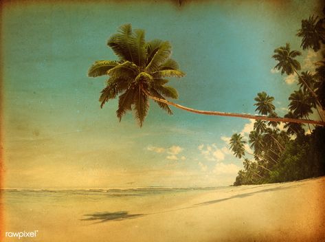 Vintage Tropical Aesthetic, Vintage Beach Posters, Paradise Aesthetic, Bar Painting, Surfing Vintage, Tiki Fashion, Tropical Paradise Beach, Silk Laundry, Beach Retro