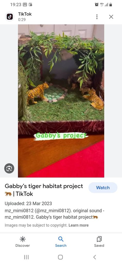 Tiger Habitat Diorama, Tiger Habitat Project For Kids, Tiger Diorama Habitat, Tiger Habitat, Grassland Habitat, Habitats Projects, School Projects, Projects For Kids, Habitat