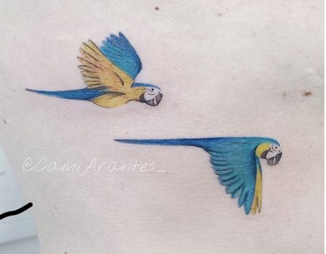 Simple Parrot Tattoo, Small Parrot Tattoo, Macaw Parrot Tattoo, Macaw Tattoo, Blue Macaw Tattoo, Parrot Memorial Tattoo, Amazon Parrot Tattoo, Parrot Tattoo, Bluebird Tattoo