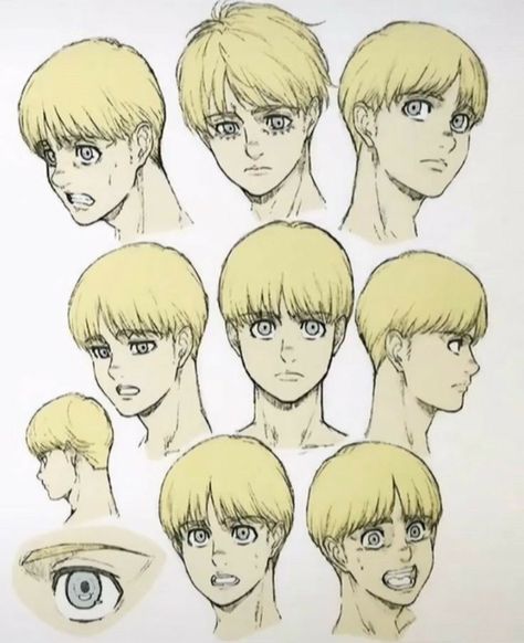 Attack On Titan Aesthetic, Aot Characters, Armin Arlert, Reference Drawing, Attack On Titan Fanart, Attack On Titan Art, Character Sheet, Character Modeling, Fanarts Anime