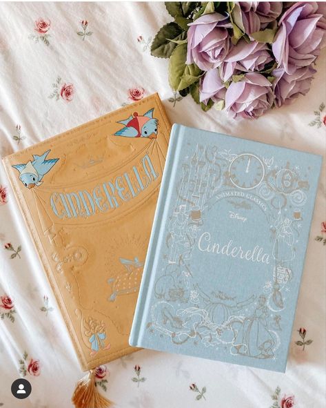 Disney Book Aesthetic, Fairytale Book Aesthetic, Blue Princess Aesthetic, Cinderella Nursery, Cinderella Book, Disney Princess Books, Disney Notebook, Pretty Books, Disney Bedrooms