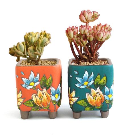 Summer Impressions 4.88 Inch Tall Hand Painted Square Succulent Planter Cactus Planter Pot Bonsai Pot Clay Pot Flower Pot Floral Design Indoor Outdoor Pack of 2 (Tall Square Orange and Green) >>> For more information, visit image link.-It is an affiliate link to Amazon. Plant Pot Clay, Cactus Plant Pots, Cactus Planter, Ceramic Flower Pots, Artificial Succulents, Colorful Plants, Bonsai Pots, Clay Pot, Flower Planters