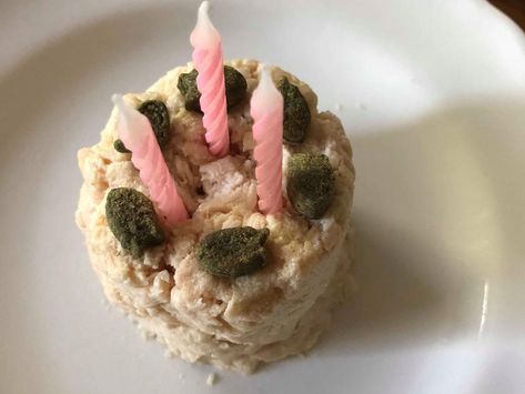 Cat Birthday Cake For Cats, Cake Recipe For Cats, Recipes For Cats, Birthday Cake Cat, Cat Diys, Cats Cake, Birthday Cake Recipes, Cute Birthday Cake, Cake Cat