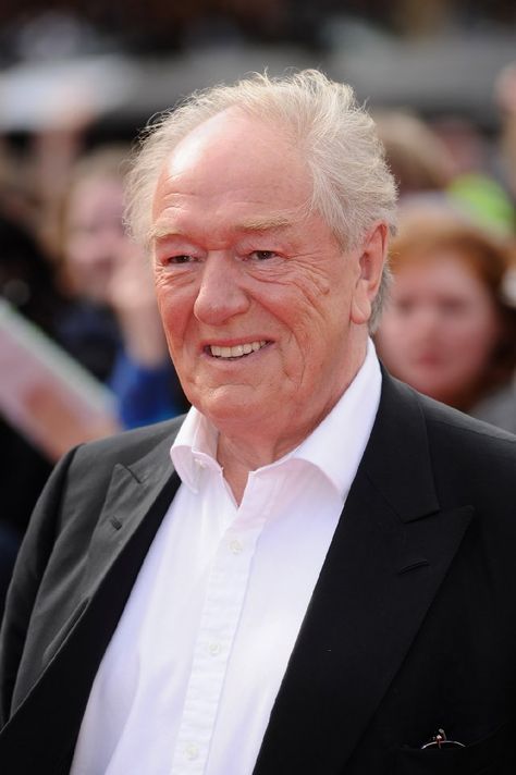 Michael Gambon Michael Gambon Harry Potter, Emily Watson, Deathly Hallows Part 2, Michael Gambon, Harry Potter Actors, Irish Actors, Harry Potter Films, Harry Potter Film, Actors Images