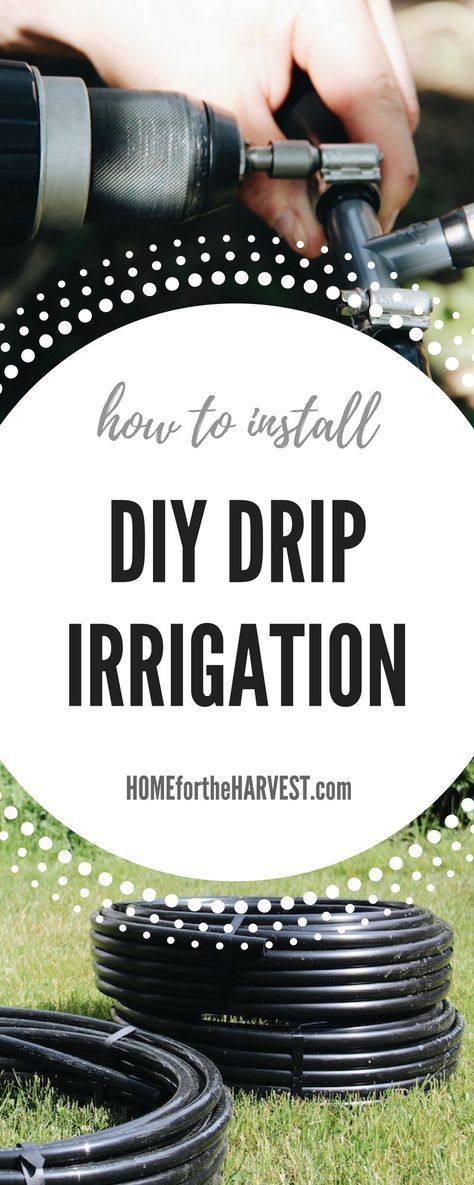 Irrigation Diy, Drip Irrigation Diy, Irrigation Systems, Drip System, Drip Irrigation System, Aquaponics System, Rain Water Collection, Drip Irrigation, Organic Gardening Tips