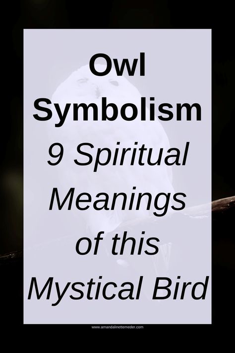 Owl Symbolism: 9 Spiritual Meanings of this Mystical Bird — Amanda Linette Meder Owl Significance, Spiritual Meaning Of Owls, Owl Meaning Spiritual, Owl Symbolism Meaning, Meaning Of Owls, Owl Spiritual Meaning, Great Horned Owl Tattoo, Owl Spirit Animal Art, Owl Tatoos