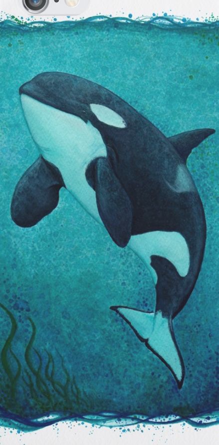 Orca Watercolor, Orca Art, Whale Drawing, Whale Painting, Marine Wildlife, Dolphin Art, Whale Tattoos, Whale Art, Orca Whales