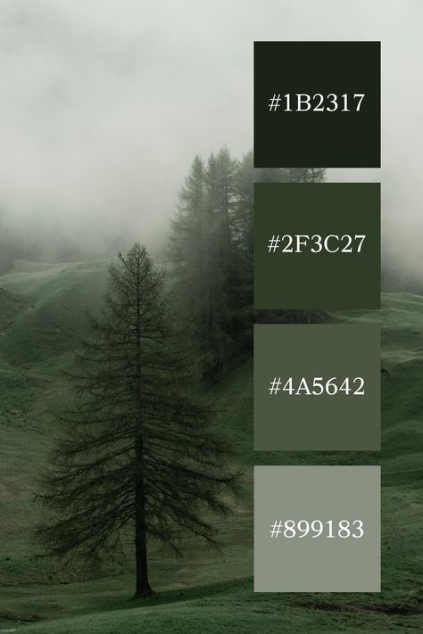 Foggy Hillside: Tall, slender trees standing quietly on a foggy hillside, with the muted green grass and trees blending seamlessly into the misty atmosphere, embodying a muted green color palette. Forest Green Branding Palette, Swampy Color Palette, Muted Green Interior, Color Combo For Green, Muted Greens Color Palette, Pine Tree Color Palette, Dark Forest Green Color Palette, Pine Green Color Palette, Green Interior Color Palette