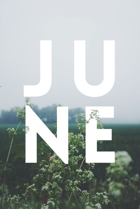 JUNE / Typography June Typography, June Graphic, Posters Photography, Typography Photography, Best Posters, Photography Typography, Type Inspiration, Cool Typography, Montage Photo