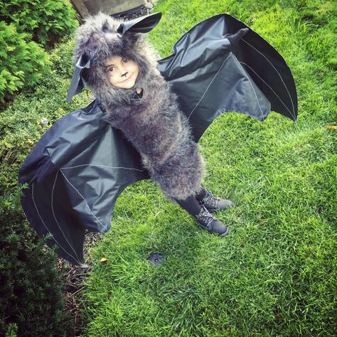 ✔️ fruit bat costume. Zoeys home made Halloween costume 2017! Fruit Bat Costume, Bat Halloween Costume, Bats For Kids, Halloween Costumes To Make, Bat Costume, Diy Costumes Kids, Fruit Bat, Costumes Kids, Fall Stuff