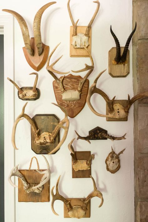 House Foyer Entryway, Eclectic Foyer, Foyer House, Dollar Store Home Decor, Dining Display, Deer Antler Mount, Mounted Antlers, House Foyer, Antler Wall Decor