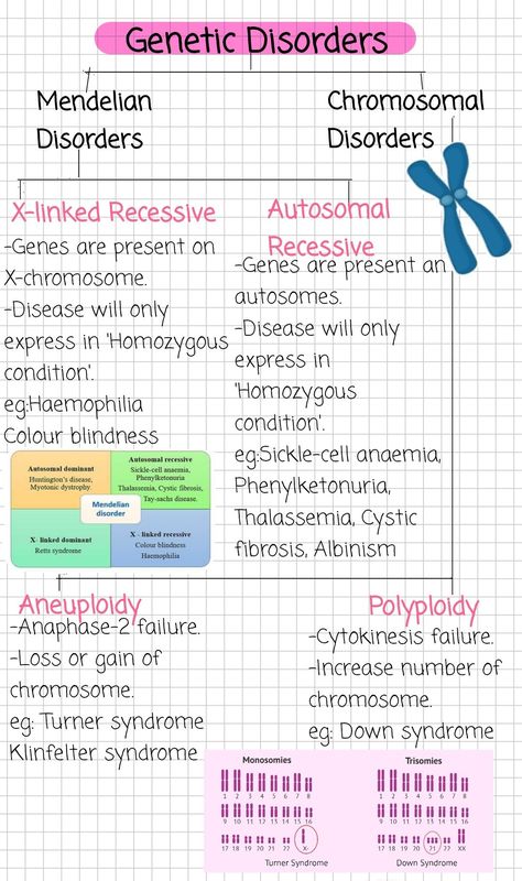 Grade 12 Biology Notes, Free Biology Notes, Biology Notes Genetics, Genetics Notes Biology Class 12, Life Sciences Study Notes Grade 12, Ap Biology Notes Aesthetic, Mendelian Genetics Notes, Grade 11 Biology Notes, Human Biology Notes