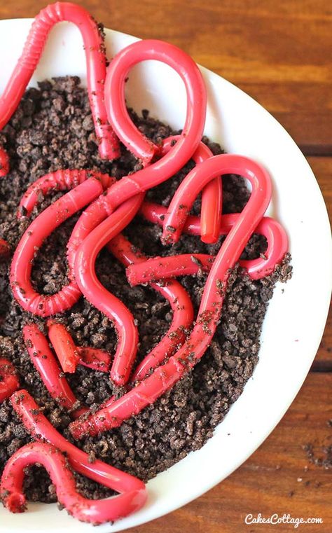 Worm Cake, Jelly Worms, Halloween Jelly, Halloween Lunch Box, Oreo Dirt, Postres Halloween, Recetas Halloween, Halloween Lunch, Kids Halloween Food