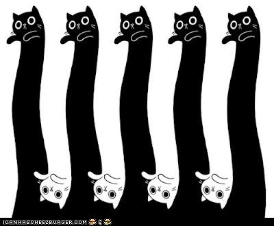 "Longcat vs. Tacgnol" -- [Tacgnol is the evil version of Longcat (Tacgnol=Longcat in reverse).] I love this graphic... makes me think of "Escher, the elementary years." Art, Black Cats, Logos, Black, Black And White Cats, Lululemon Logo, Retail Logos, Black And White, ? Logo